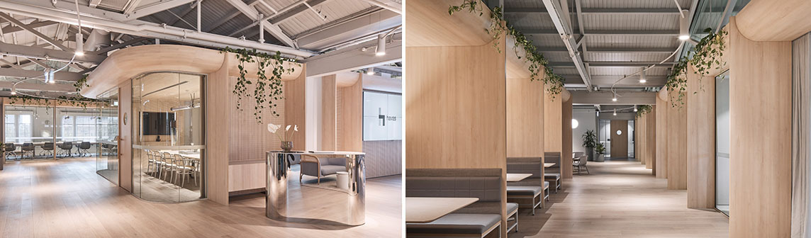 ����w66(�й���)_���������콢